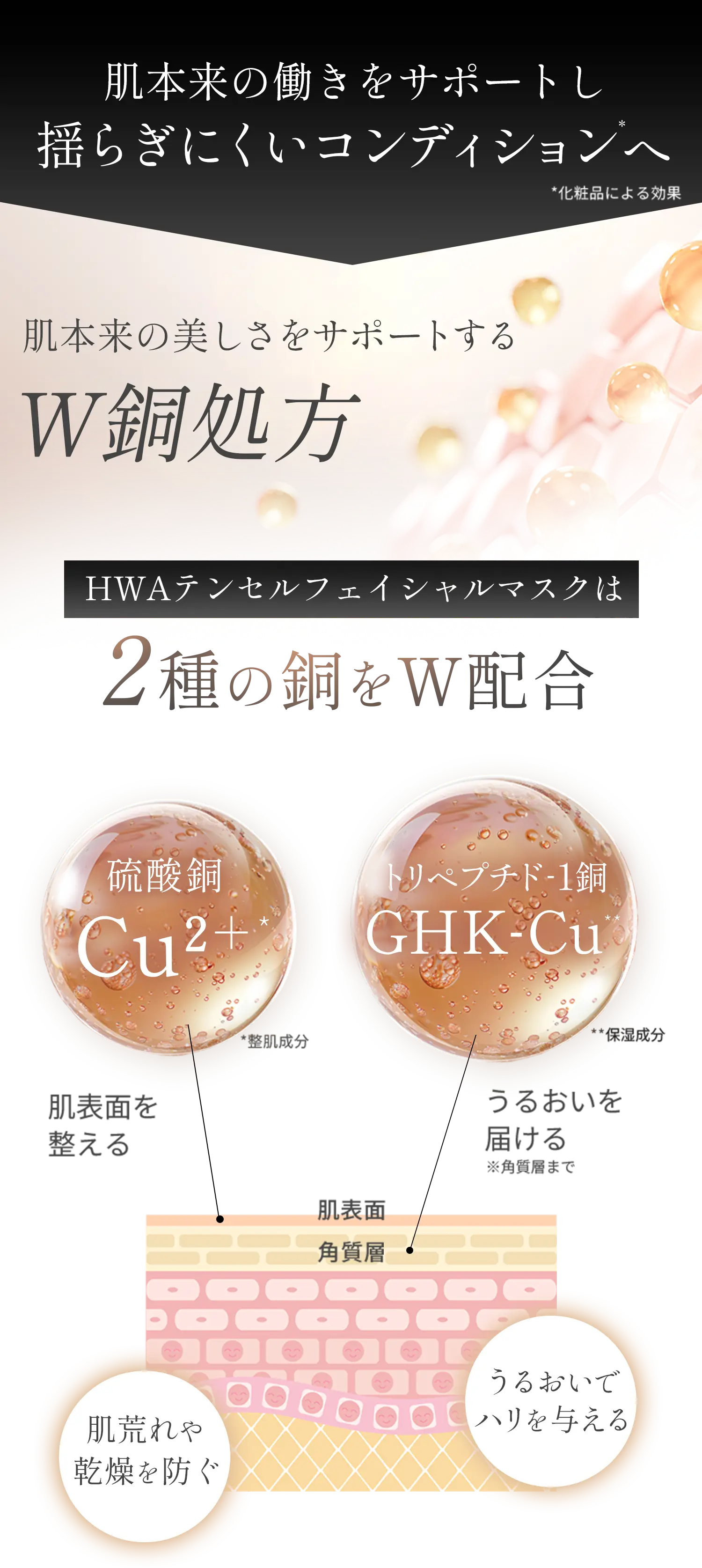 肌本来の働きをサポートしゆらぎにくいコンディションへ